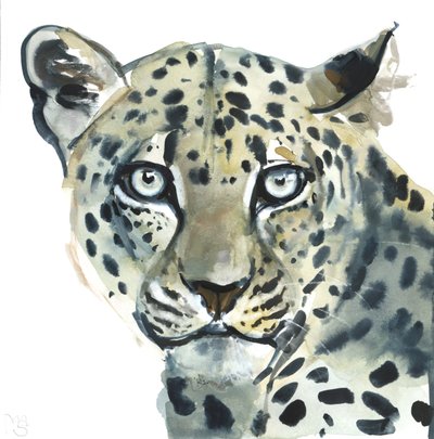 Leopard, 2015, (akvarel på papir) af Mark Adlington