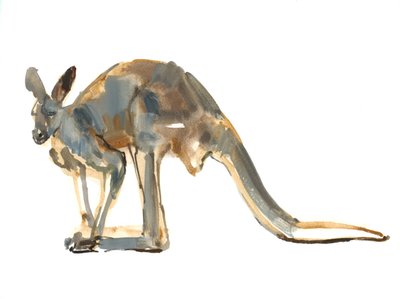 Ochre Dusted, (Red Kangaroo), 2012, (akvarel og pigment på papir) af Mark Adlington