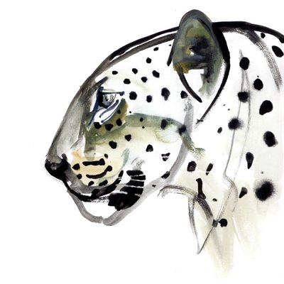 Perfekt profil, 2015 af Mark Adlington