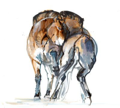Power Dance (Przewalski), 2013 (sennelierblæk, akvarel og gouache) af Mark Adlington