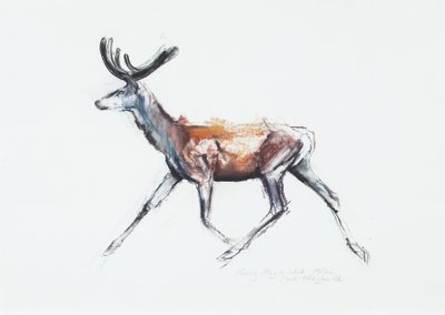 Running Stag i fløjl, Polsen, 2006 (charcoal und conte på papir) af Mark Adlington