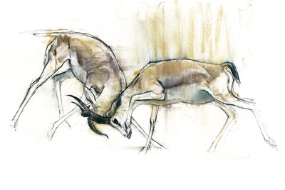 Sand Gazeller, 2009 (conte og kul på papir) af Mark Adlington