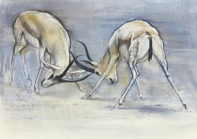 Sand Gazelles, 2009 (konte og trækul på papir) af Mark Adlington