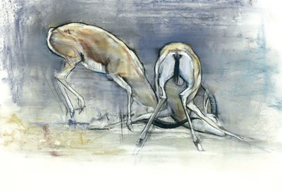 Sand Gazelles, 2009 (konte og trækul på papir) af Mark Adlington