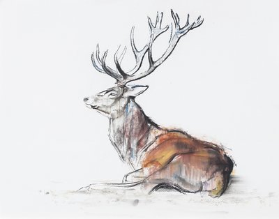Seated Stag, 2006 (charcoal und conte på papir) af Mark Adlington
