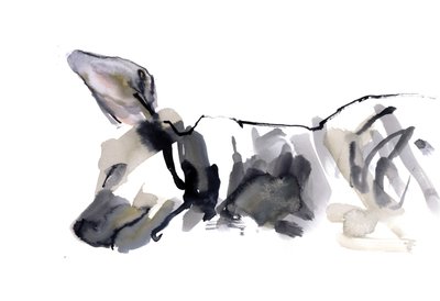 Sleeping Hyaena, 2010, (akvarel på papir) af Mark Adlington