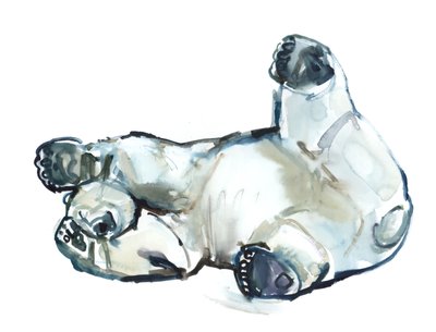 Snow Rub (isbjørn), 2013 (akvarel og gouache på papir) af Mark Adlington