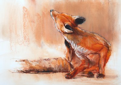 Spring Vixen, 2022 af Mark Adlington