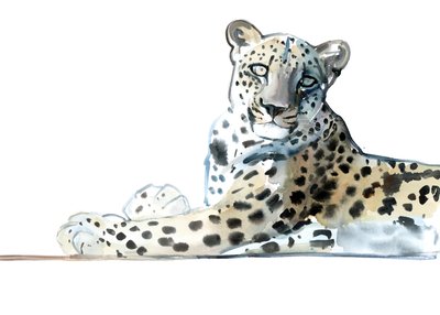 Tilt (arabisk leopard), 2015, (akvarel og gouache på papir) af Mark Adlington