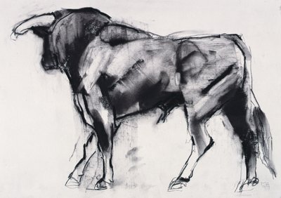 Toro Azul, studie (kul på papir) af Mark Adlington