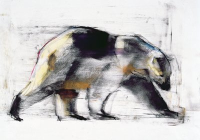 Ursus Maritimus, 1999 (trækul og conte på papir) af Mark Adlington