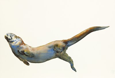 Velvet, 2014, (akvarel på papir) af Mark Adlington