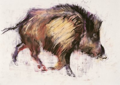 Vildsvinstrav, 1999 (grafit, conte og trækul på papir) af Mark Adlington
