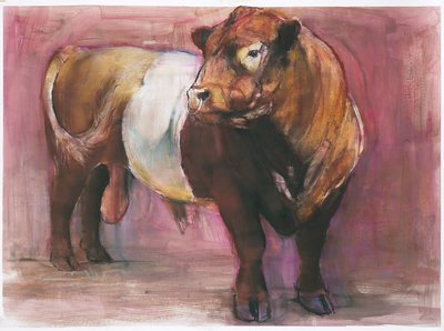 Zeus, Red Belted Galloway Bull, 2006 (blandet medier på papir) af Mark Adlington