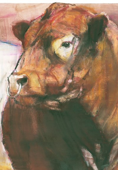 Zeus, Red Belted Galloway Bull, 2006 blandede medier på papirdetalje af 275255 af Mark Adlington