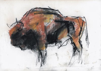 Zubre, Bialowieza (kul og conte på papir) af Mark Adlington