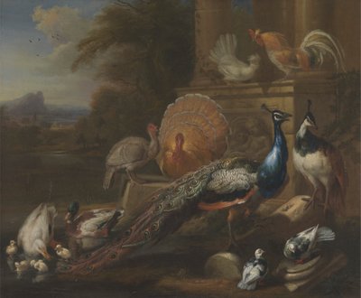 Påfugle, duer, kalkuner, høns og ænder ved en klassisk ruin af Marmaduke Cradock