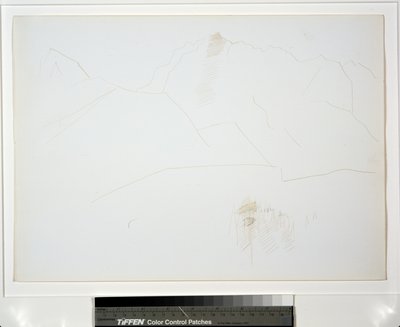 Bjerglandskab med træklump af Marsden Hartley
