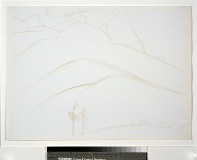 Bjerglandskab med to fyrretræer af Marsden Hartley