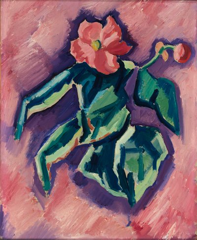 Rosa Begonien af Marsden Hartley