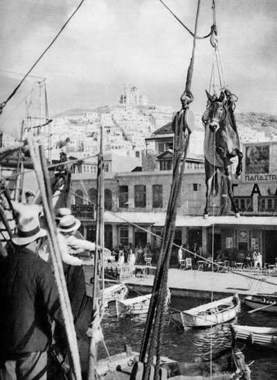 Forsendelse af muldyr, Syros Island, Grækenland, 1937. af Martin Hurlimann