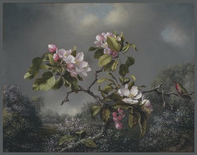 Æbleblomster og kolibri, 1871 af Martin Johnson Heade
