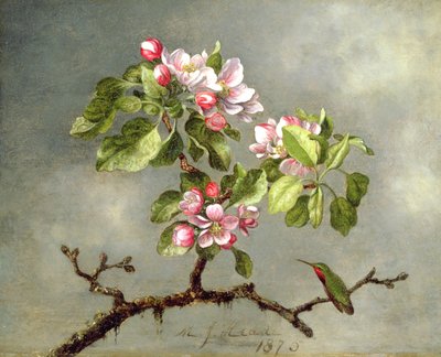 Æbleblomster og en kolibri, 1875 af Martin Johnson Heade