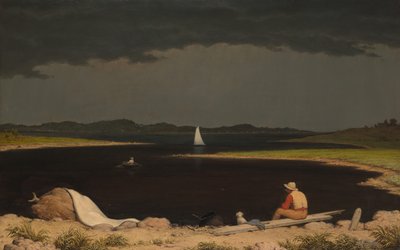 Nærmer sig tordenvejr, 1859. af Martin Johnson Heade