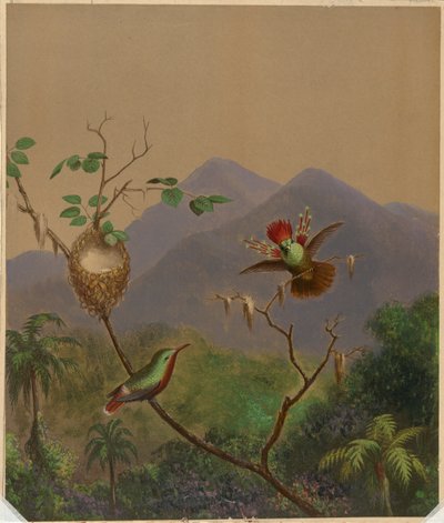 Brasilianske kolibrier III af Martin Johnson Heade