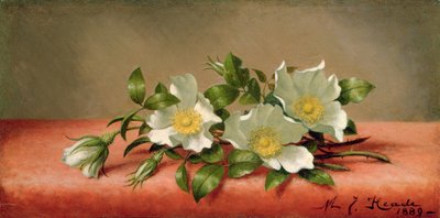 Cherokee Roses, 1889 af Martin Johnson Heade