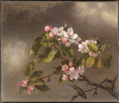  af Martin Johnson Heade