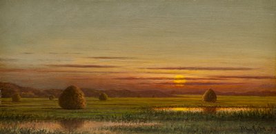 Marskland af Martin Johnson Heade