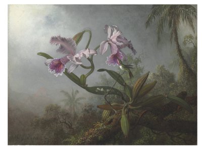 Lyserøde orkideer og kolibri på en kvist, 1875 af Martin Johnson Heade