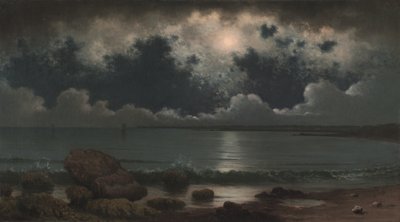 Point Judith, Rhode Island, 1867-1868. af Martin Johnson Heade