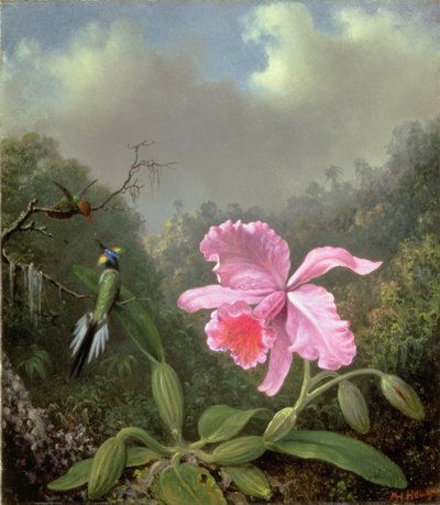 Stilleben med en orkidé og et par kolibrier, ca. 1890