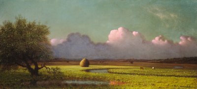 Sunlight and Shadow: The Newbury Marshes, ca. 18711875. af Martin Johnson Heade