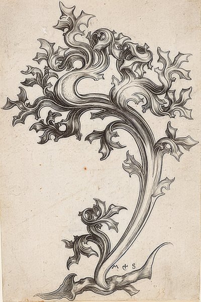Bladpynt fra en tidsel af Martin Schongauer