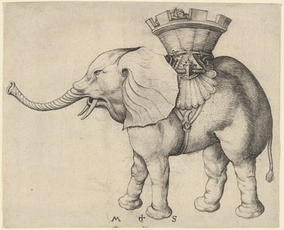 Elefant af Martin Schongauer