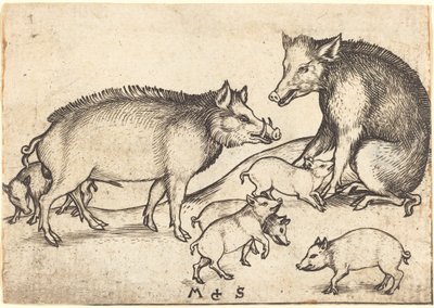 Familie af svin af Martin Schongauer