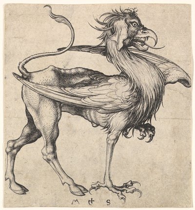 Griffin, ca. 1435-1491. af Martin Schongauer