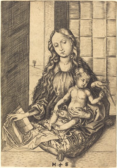 Madonna med en papegøje af Martin Schongauer