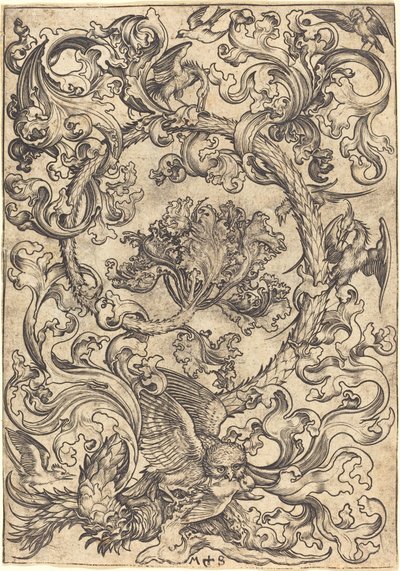 Ornament med ugle hånet af dagfugle af Martin Schongauer
