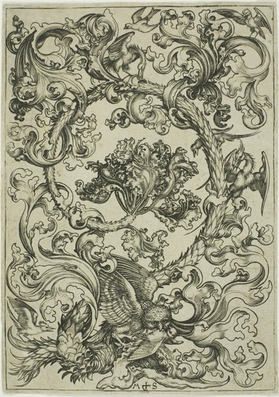 Ornament med ugle spottet af dagfugle af Martin Schongauer