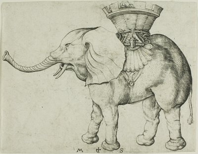 Elefanten af Martin Schongauer