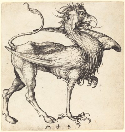 Griffinen af Martin Schongauer
