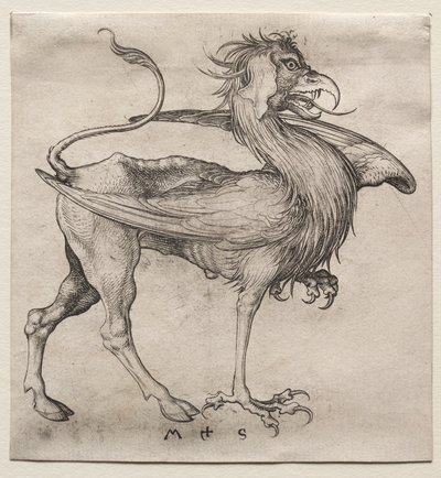 Griffinen af Martin Schongauer
