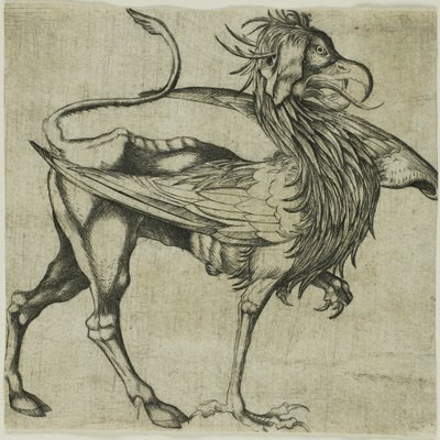 Griffen af Martin Schongauer