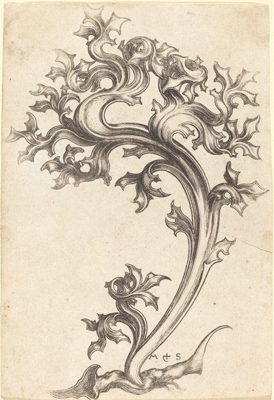 Tidsel Ornament af Martin Schongauer