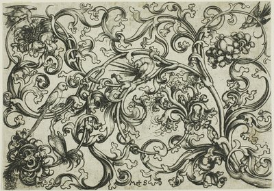 Vine Ornament med papegøjer og fugle af Martin Schongauer