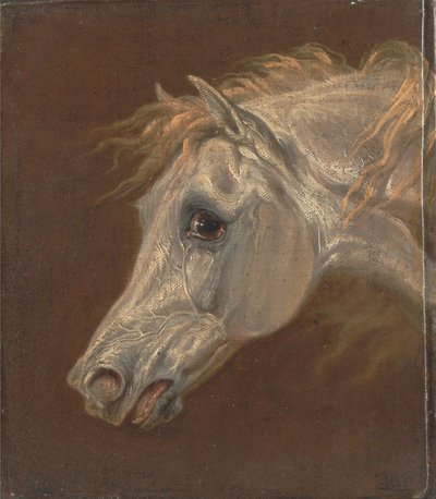 Hoved af en grå arabisk hest af Martin Theodore Ward